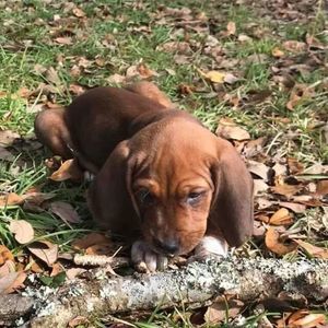 Meet your Posher, Hailey